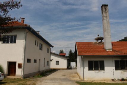 Preporođeni Podgrmeč: Kako je jedna zadruga spasila sebe i 15 sela (FOTO)