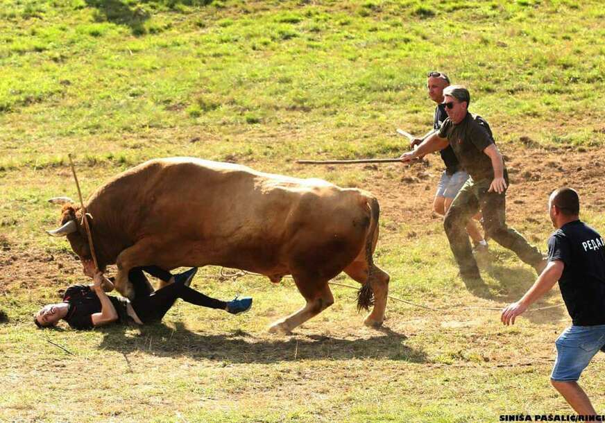 "Kočićev zbor", Betina fotografija godine