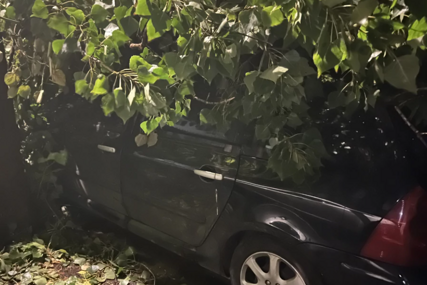Beograđani u strahu od novog nevremena: Jaka oluja čupa i lomi zdrava stabla