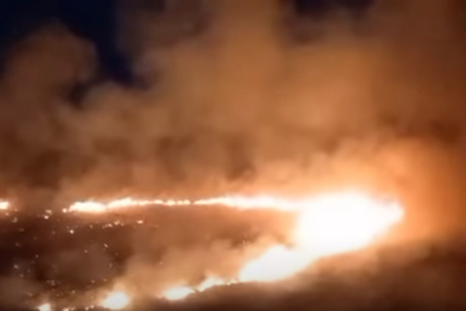 Šumski požar na Eviji: Vatrenu stihiju gase 82 vatrogasca i avion