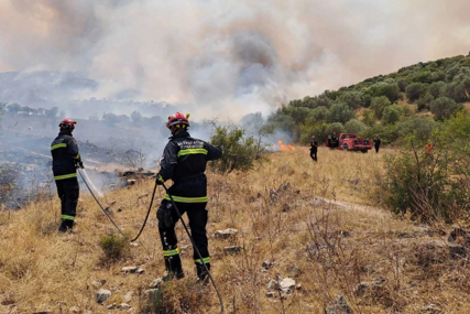 Vatrogasci malo predahnuli: Bolja situacija na požarištima u Grčkoj