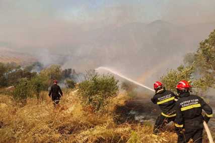 HEROJI BEZ PLAŠTA Davor se sa još 34 srpska vatrogasca bori na prvoj liniji pakla u Volosu (FOTO)