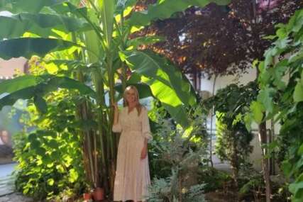 Niko nije očekivao da će preživjeti: Dragica u svom dvorištu uzgaja banane, a žali se samo na jednu stvar (FOTO)
