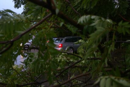 Dramatično u Banjaluci poslije nevremena: Ekipe uklanjaju stabla sa saobraćajnica (FOTO)