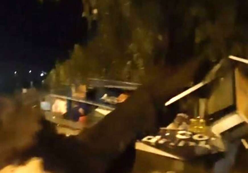 Drvo palo na trafiku