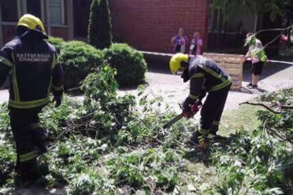 Vatrogasci uklanjanju drveće oboreno u nevremenu u Srbiji