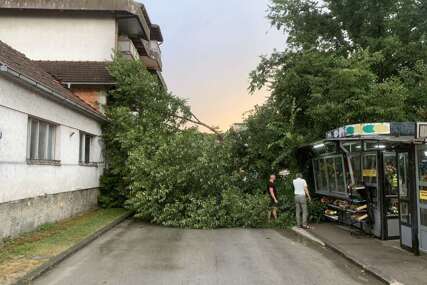Oluja napravila haos u Novom Gradu: Vjetar rušio drveće, oštetio krovove i automobil (VIDEO)