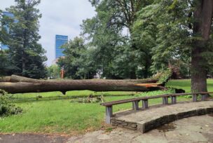 Oluja park Mladen Stojanović