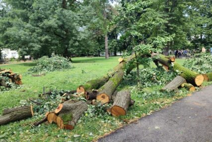 Kolika sila je bio vjetar: U parku vidljive posljedice oluja koje su pogodila Banjaluku (VIDEO, FOTO)