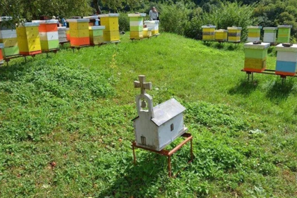 "Srbi nebeski narod" Čovjek napravio "crkvu za pčele", komentari na mrežama pljušte (FOTO)