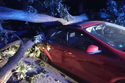 Drvo smrskalo automobil u Banjaluci: Pričinjena velika šteta (FOTO)