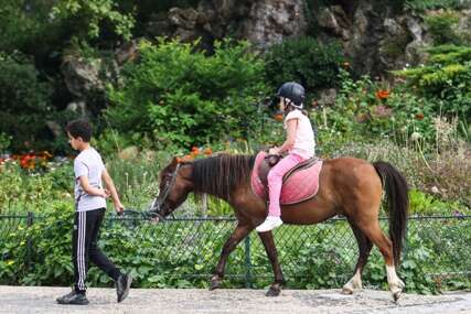Oni nisu igračke: Pariz zabranjuje jahanje ponija u parkovima