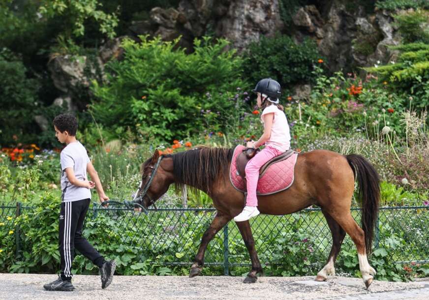Pariz zabranio jahanje ponija u parkovima