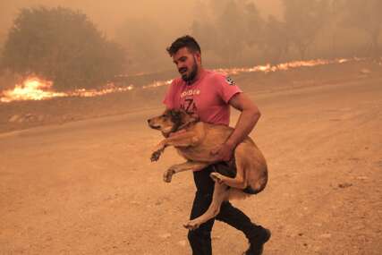 Muškarac spasava životinje od vatrene stihije: Scene požara u Grčkoj nikoga ne ostavljaju ravnodušnim (VIDEO)