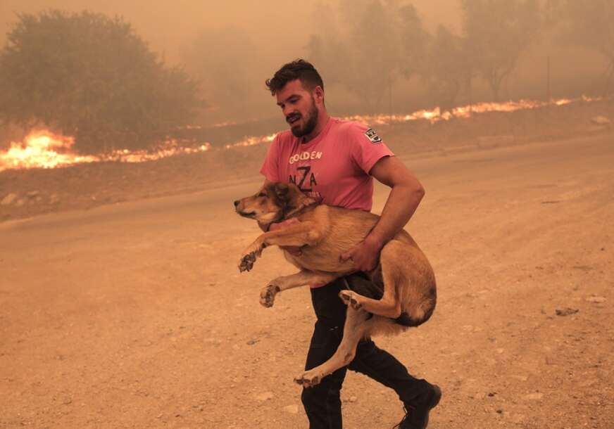 Spasavanje životinja od požara u Grčkoj