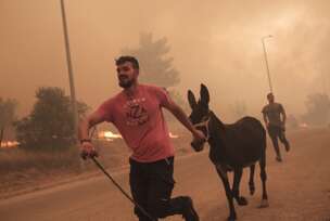 Spasavanje životinja od požara u Grčkoj