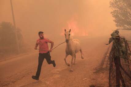 NAJGORI POŽAR U EVROPI Vatra u Grčkoj uništila područje veće od Njujorka