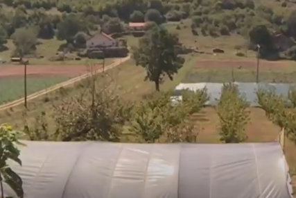 Šteta od oko 100.000 KM: Grad uništio nasade povrća u Berkovićima (VIDEO)