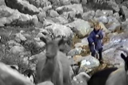 SNIMAK STAR 3 DECENIJE Luka Modrić sa 5 godina čuvao ovce, dok su oko njega gladni vukovi (VIDEO)