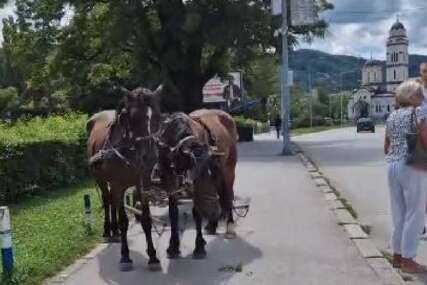 Konjska kola na ulici