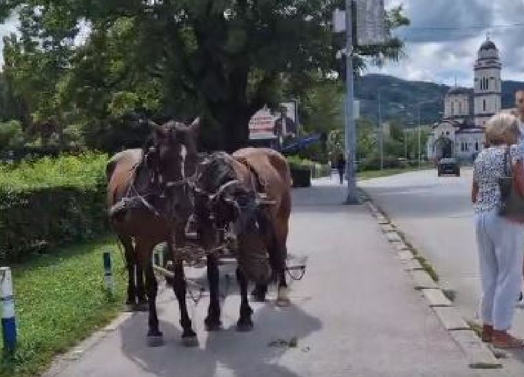 Konjska kola na ulici