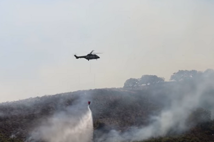 Veliki šumski požar u Albaniji "Ovo je jedan od najtežih vatrenih stihija od početka godine" (VIDEO)