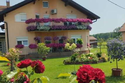 Dvorišta i balkoni u cvijeću i zelenilu: Izbor najljepšeg kutka u Gradiški (FOTO)