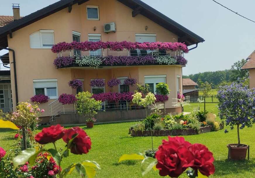 Dvorišta i balkoni u cvijeću i zelenilu: Izbor najljepšeg kutka u Gradiški (FOTO)