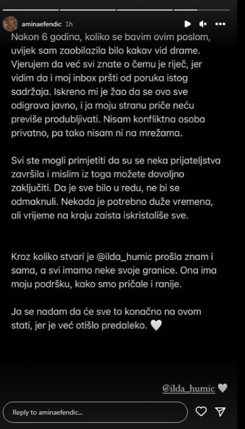 Amina Efendic Story