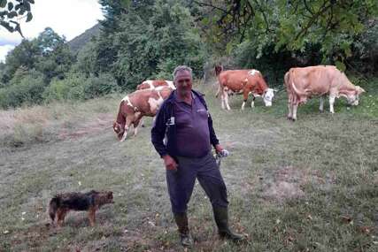LOKATOR ZAMIJENIO "DREKAVCA" Milan došao na sjajnu ideju, pa sada svoje krave prati pomoću Gugla
