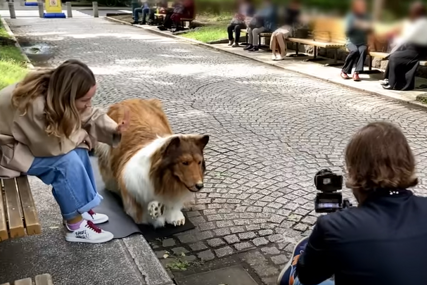 Ostvario dječački san: Japanac potrošio skoro 13.000 evra da bi postao pas (VIDEO)