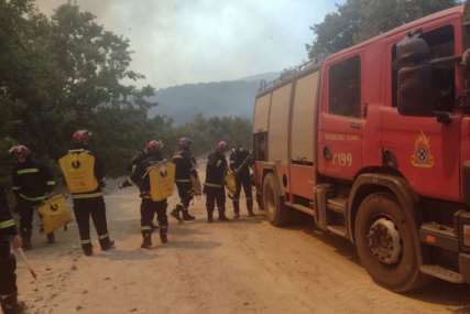Srpski vatrogasci gase požare u Grčkoj "Cijeli dan se borimo sa vatrenom stihijom" (FOTO)
