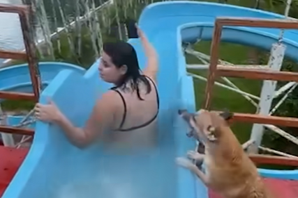"Ovo kuče zna kako da se zabavi" Žena se spušta toboganom, uskače i pas, evo kako se sve završilo (VIDEO)