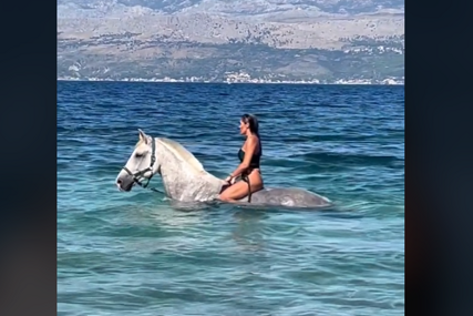 Neobično poziranje u moru: Hana Hadžiavdagić objavila slike iz vode na konju (VIDEO)