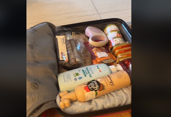 Lana Stanković pakuje psa za more