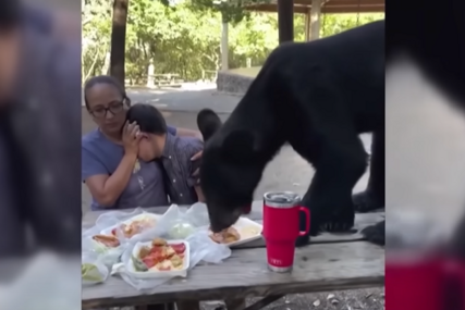 Majka pametno reagovala: Medvjed prekinuo porodični izlet i pojeo hranu sa stola (VIDEO)