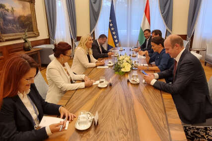 Cvijanovićeva se sastala sa predsjednikom Mađarske "Dobri bilateralni odnosi su snažan podsticaj daljem jačanju saradnje" (FOTO)