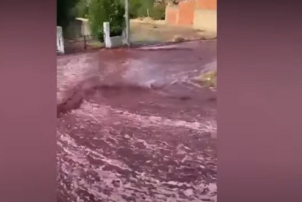 NAPILE SE ULICE Rijeka crvenog vina teče kroz gradić, prosulo se preko 2 miliona litara iz rezervoara (VIDEO)