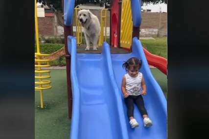 "Pažljiviji je od prave dadilje" Pas svoju malenu vlasnicu čuva dok se ona igra u parku (VIDEO)