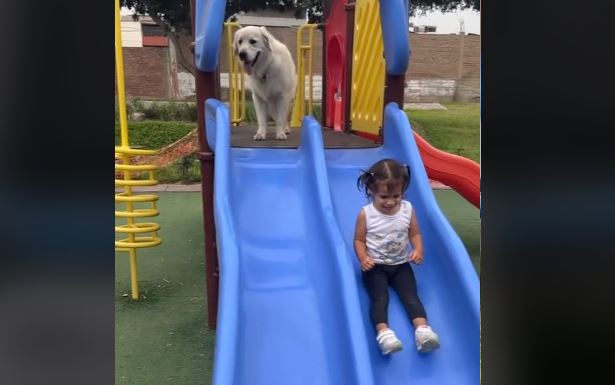 Djevojčicu pas čuva u parku