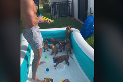 Urnebesna zabava u bazenu: Vlasnik je za pse priredio nesvakidašnje kupanje (VIDEO)