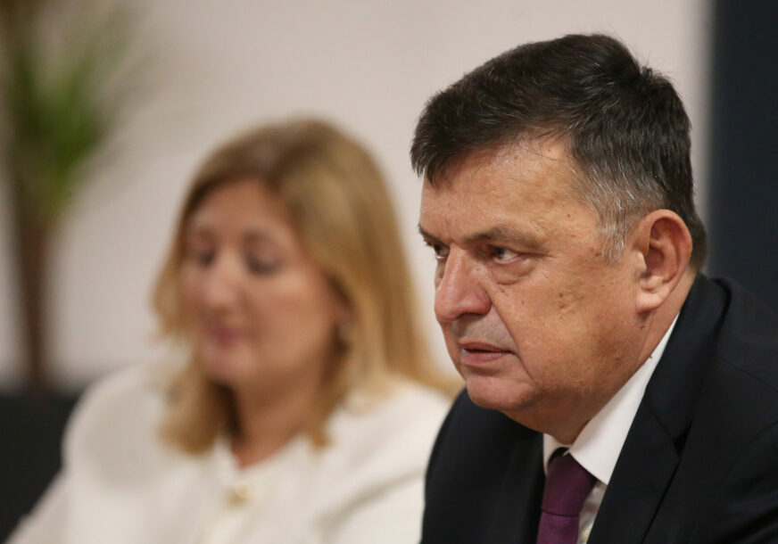 zoran tegeltija direktor uprave za indirektno oporezivanje bih 