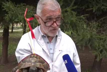 Prijateljstvo do kraja života: Goran prije 40 godina spasio kornjaču i od tada su postali nerazdvojni, Miki se ne odvaja od njega