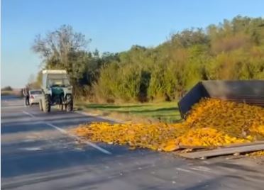 Sav kukuruz prosut po putu: Dva traktora sletjela sa puta nakon sudara sa autom (VIDEO)