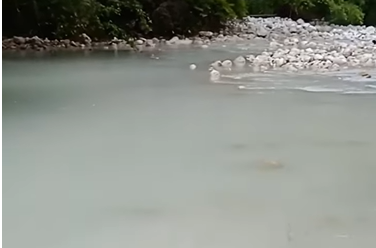 Uništavanje Neretve: Rijeka mijenja boju, a unikatna vrsta pastrmke umire (VIDEO)