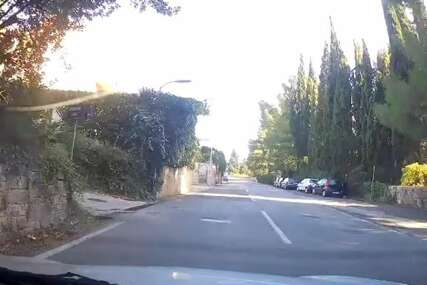 (VIDEO) "Nije mogao da izdrži" Vozač morao da stane nasred ulice zbog psa, razlog je urnebesan