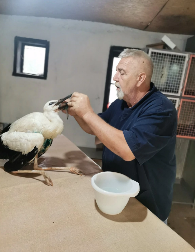FOTO: PRIVATNA ARHIVA / USTUPLJENE FOTOGRAFIJE