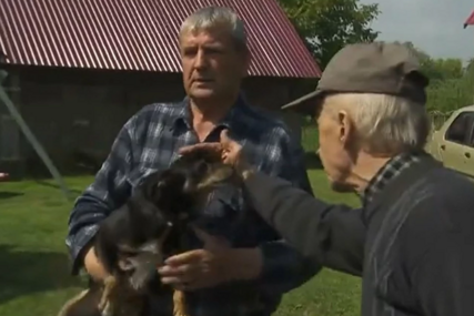 Bizaran slučaj u Poljskoj: Psa optužili da je uništio sto glavica kupusa, u sve umiješana i policija (VIDEO, FOTO)