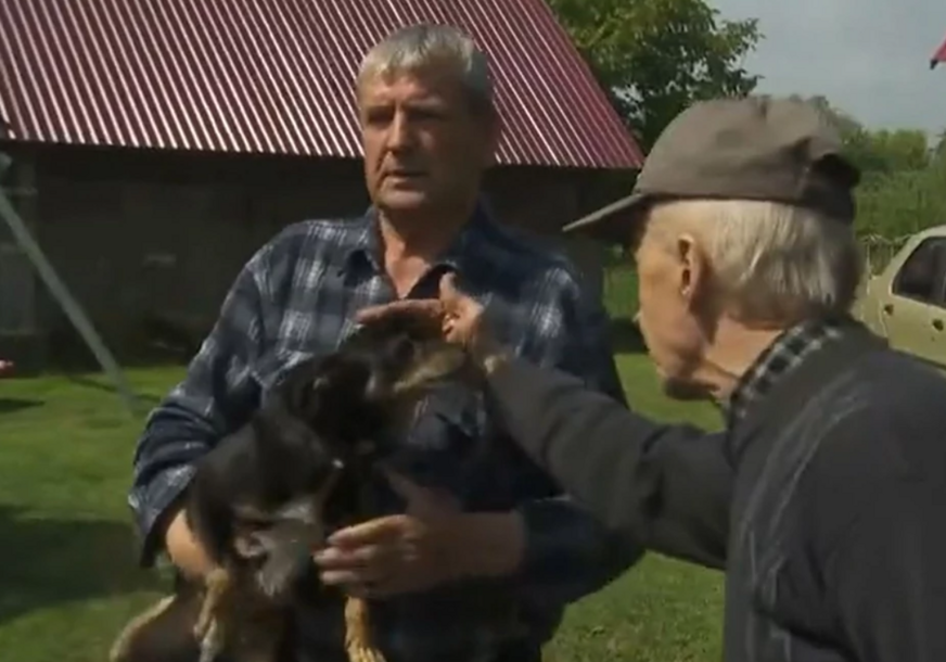 Pas iz Poljske koji je optužen za uništavanje kupusa