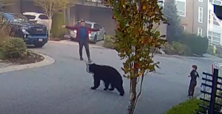 (VIDEO) Snimak obišao cijeli svijet: Medvjed se zaletio prema sedmogodišnjem dječaku, spasio ga komšija